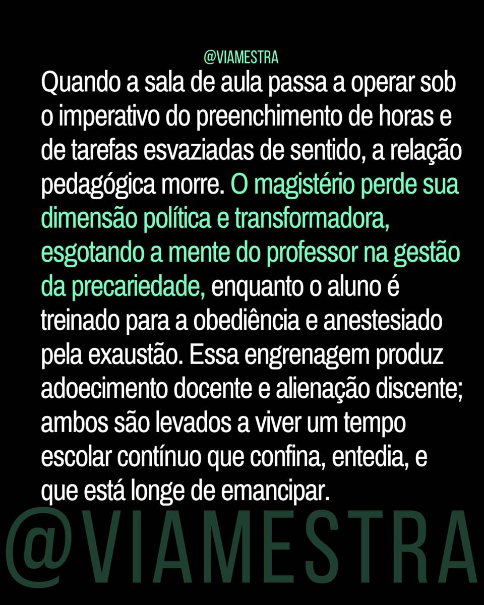 Censo 2025 e o tempo integral: expansão quantitativa ou confinamento institucional? (Parte 5/5) (8/10)