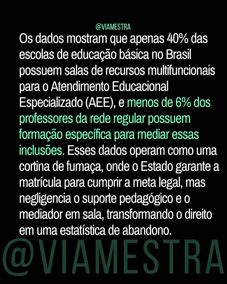 Censo 2025 e a farsa da inclusão: o abandono institucionalizado na Educação Especial (parte 4/5) (4/10)