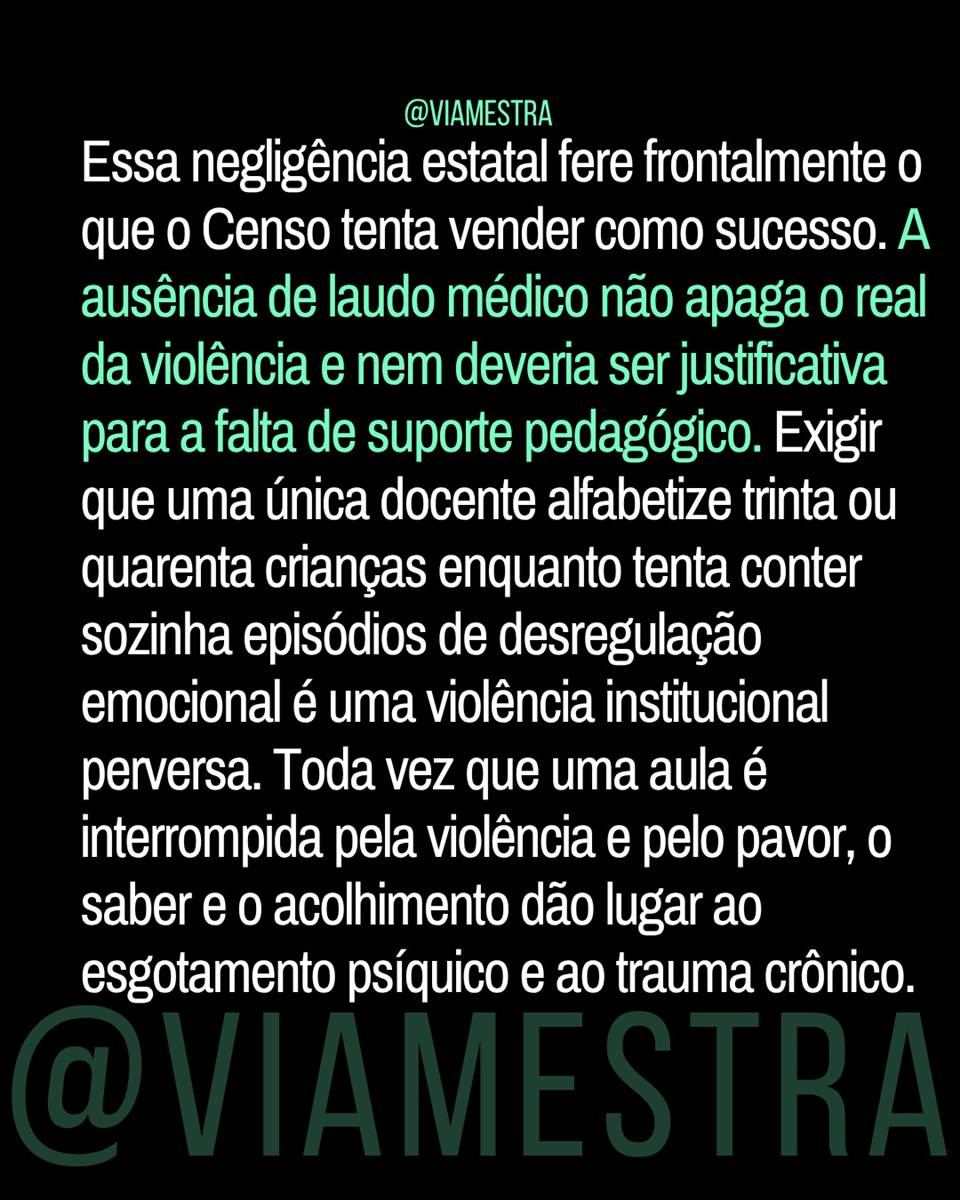 Censo 2025 e a farsa da inclusão: o abandono institucionalizado na Educação Especial (parte 4/5) (8/10)