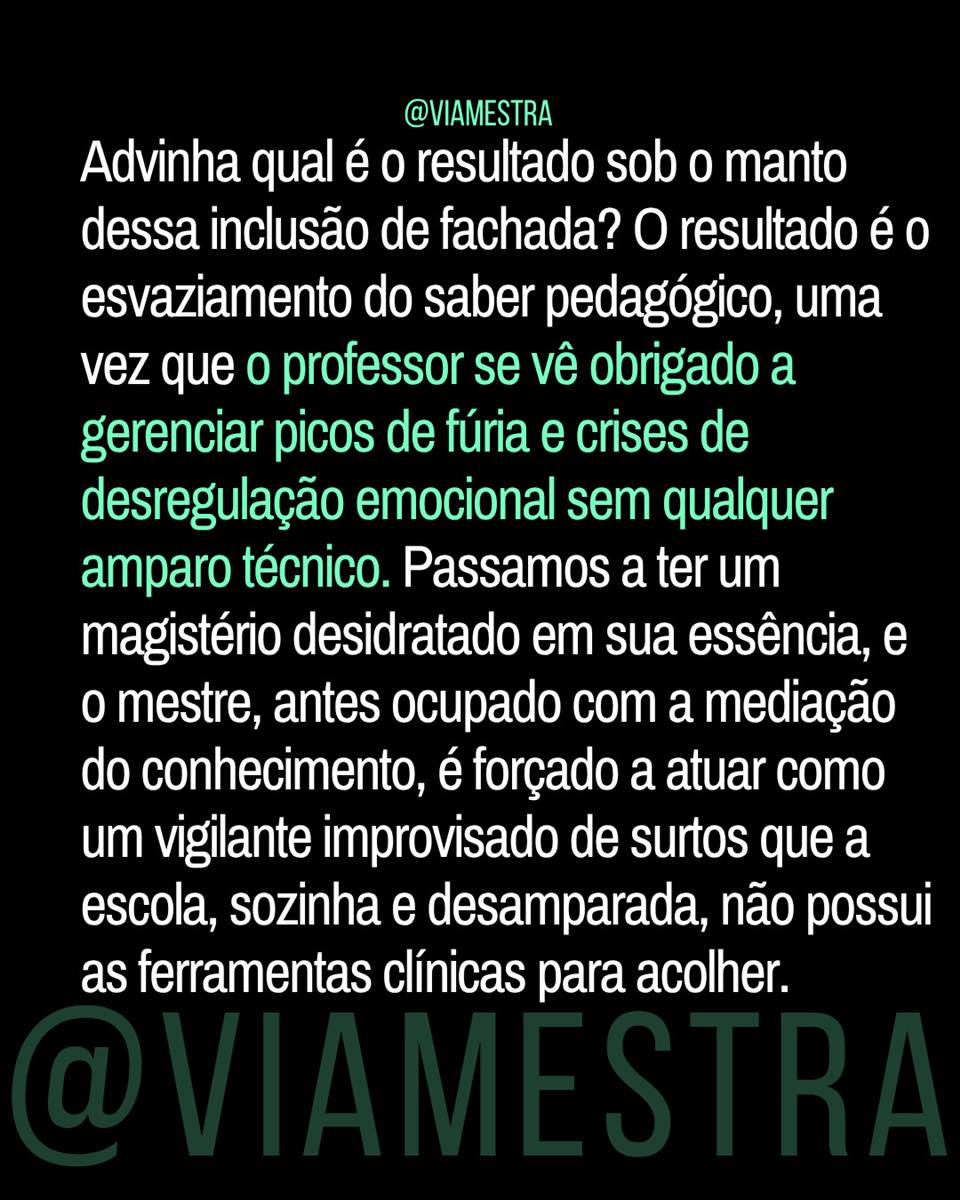 Censo 2025 e a farsa da inclusão: o abandono institucionalizado na Educação Especial (parte 4/5) (7/10)