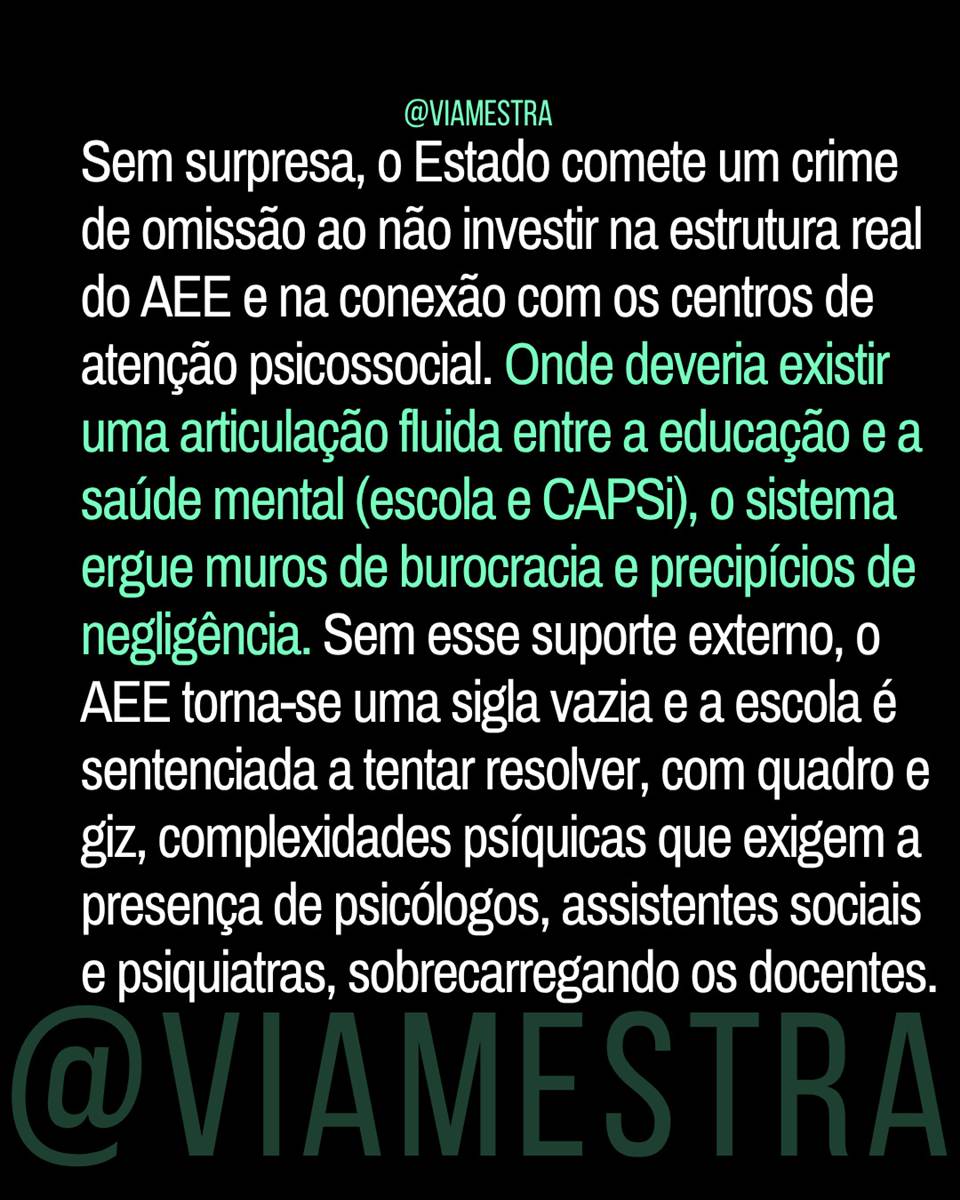 Censo 2025 e a farsa da inclusão: o abandono institucionalizado na Educação Especial (parte 4/5) (9/10)